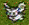 nall.gif